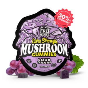 TRĒ House Magic Mushroom Gummies, Magic Mushroom Gummies, Mushroom Gummies Edible, Legal Mushroom Gummies, Neurotonin Gummies, Extra-Strength Mushroom Gummies, Mushroom Gummies Microdose, Mushroom Gummies Full Dose, Euphoric Mushroom Gummies, Premium Mushroom Gummies, Trippy Mushroom Gummies, Nootropic Mushroom Gummies, Adaptogenic Mushroom Gummies, Vegan Mushroom Gummies, Mushroom Gummies Effects, Mushroom Gummies Flavor, Fruity Mushroom Gummies, Psychedelic Mushroom Gummies, Relaxation Mushroom Gummies, Body Buzz Mushroom Gummies, Mental Clarity Mushroom Gummies, Mind-Enhancing Mushroom Gummies, Smooth Mushroom Gummies, Mushroom Gummies Online, Buy Mushroom Gummies, Mushroom Gummies for Beginners, Mushroom Gummies Dosage, Mushroom Gummies Experience, Mushroom Gummies Taste, TRĒ House Edible Gummies, Mushroom Gummies Safe, Mushroom Gummies Lab-Tested, Mushroom Gummies COA, Mushroom Gummies Packaging, Mushroom Gummies Square Dose, Mushroom Gummies Microdosing Edible, Mushroom Gummies Full Trip, Mushroom Gummies Brand TRĒ House, Mushroom Gummies Premium Edible, Mushroom Gummies High Quality, Mushroom Gummies Popular Product, Mushroom Gummies Trending, Mushroom Gummies Smooth Effects, Mushroom Gummies Rich Flavor, Mushroom Gummies Customer Favorite, Mushroom Gummies Mind Trip, Mushroom Gummies Psychedelic Flavor, Mushroom Gummies Tasty, Mushroom Gummies Easy to Consume, Mushroom Gummies Daily Dose, Mushroom Gummies Effects Guide, Mushroom Gummies Lab Certified, Mushroom Gummies Clear Mind, Mushroom Gummies Euphoria, Mushroom Gummies Tasty Experience, Mushroom Gummies Safe Dosage, Mushroom Gummies Vegan Product, Mushroom Gummies Fun Edible, Mushroom Gummies Legal Alternative, Mushroom Gummies Brain Clarity, Mushroom Gummies Flavor Blast, Mushroom Gummies Sweet Taste, Mushroom Gummies Concentrate, Mushroom Gummies Fruit Flavor, Mushroom Gummies Active Compounds, Mushroom Gummies Proprietary Blend, Mushroom Gummies Adaptogen, Mushroom Gummies Neurotonin, Blue Raspberry Magic Mushroom Gummies, Juicy Mango Magic Mushroom Gummies, Sour Apple Magic Mushroom Gummies, Sour Cherry Magic Mushroom Gummies, Sour Grape Magic Mushroom Gummies, Sour Tropical Magic Mushroom Gummies, Strawberry Dream Magic Mushroom Gummies, Watermelon Wonder Magic Mushroom Gummies, Watermelon Wonder mushroom gummies, TRĒ House mushroom gummies, magic mushroom gummies, mushroom gummies edible, legal mushroom gummies, Neurotonin gummies, extra-strength mushroom gummies, mushroom gummies microdose, mushroom gummies full dose, euphoric mushroom gummies, premium mushroom gummies, trippy mushroom gummies, nootropic mushroom gummies, adaptogenic mushroom gummies, vegan mushroom gummies, mushroom gummies effects, mushroom gummies flavor, watermelon mushroom gummies, psychedelic mushroom gummies, relaxation mushroom gummies, body buzz mushroom gummies, mental clarity mushroom gummies, mind-enhancing mushroom gummies, smooth mushroom gummies, mushroom gummies online, buy mushroom gummies, mushroom gummies for beginners, mushroom gummies dosage, mushroom gummies experience, mushroom gummies taste, TRĒ House edible gummies, mushroom gummies safe, mushroom gummies lab-tested, mushroom gummies COA, mushroom gummies packaging, mushroom gummies square dose, mushroom gummies microdosing edible, mushroom gummies full trip, mushroom gummies brand TRĒ House, mushroom gummies premium edible, mushroom gummies high quality, mushroom gummies popular product, mushroom gummies trending, mushroom gummies smooth effects, mushroom gummies rich flavor, mushroom gummies customer favorite, mushroom gummies mind trip, mushroom gummies psychedelic flavor, mushroom gummies tasty, mushroom gummies easy to consume, mushroom gummies daily dose, mushroom gummies effects guide, mushroom gummies lab certified, mushroom gummies clear mind, mushroom gummies euphoria, mushroom gummies tasty experience, mushroom gummies safe dosage, mushroom gummies vegan product, mushroom gummies fun edible, mushroom gummies legal alternative, mushroom gummies brain clarity, mushroom gummies flavor blast, mushroom gummies sweet taste, mushroom gummies concentrate, mushroom gummies fruit flavor, mushroom gummies active compounds, mushroom gummies proprietary blend, mushroom gummies adaptogen, mushroom gummies Neurotonin, Strawberry Dream mushroom gummies, TRĒ House mushroom gummies, magic mushroom gummies, mushroom gummies edible, legal mushroom gummies, Neurotonin gummies, extra-strength mushroom gummies, mushroom gummies microdose, mushroom gummies full dose, euphoric mushroom gummies, premium mushroom gummies, trippy mushroom gummies, nootropic mushroom gummies, adaptogenic mushroom gummies, vegan mushroom gummies, mushroom gummies effects, mushroom gummies flavor, strawberry mushroom gummies, psychedelic mushroom gummies, relaxation mushroom gummies, body buzz mushroom gummies, mental clarity mushroom gummies, mind-enhancing mushroom gummies, smooth mushroom gummies, mushroom gummies online, buy mushroom gummies, mushroom gummies for beginners, mushroom gummies dosage, mushroom gummies experience, mushroom gummies taste, TRĒ House edible gummies, mushroom gummies safe, mushroom gummies lab-tested, mushroom gummies COA, mushroom gummies packaging, mushroom gummies square dose, mushroom gummies microdosing edible, mushroom gummies full trip, mushroom gummies brand TRĒ House, mushroom gummies premium edible, mushroom gummies high quality, mushroom gummies popular product, mushroom gummies trending, mushroom gummies smooth effects, mushroom gummies rich flavor, mushroom gummies customer favorite, mushroom gummies mind trip, mushroom gummies psychedelic flavor, mushroom gummies tasty, mushroom gummies easy to consume, mushroom gummies daily dose, mushroom gummies effects guide, mushroom gummies lab certified, mushroom gummies clear mind, mushroom gummies euphoria, mushroom gummies tasty experience, mushroom gummies safe dosage, mushroom gummies vegan product, mushroom gummies fun edible, mushroom gummies legal alternative, mushroom gummies brain clarity, mushroom gummies flavor blast, mushroom gummies sweet taste, mushroom gummies concentrate, mushroom gummies fruit flavor, mushroom gummies active compounds, mushroom gummies proprietary blend, mushroom gummies adaptogen, mushroom gummies Neurotonin, Sour Tropical mushroom gummies, TRĒ House mushroom gummies, magic mushroom gummies, mushroom gummies edible, legal mushroom gummies, Neurotonin gummies, extra-strength mushroom gummies, mushroom gummies microdose, mushroom gummies full dose, euphoric mushroom gummies, premium mushroom gummies, trippy mushroom gummies, nootropic mushroom gummies, adaptogenic mushroom gummies, vegan mushroom gummies, mushroom gummies effects, mushroom gummies flavor, tropical mushroom gummies, psychedelic mushroom gummies, relaxation mushroom gummies, body buzz mushroom gummies, mental clarity mushroom gummies, mind-enhancing mushroom gummies, smooth mushroom gummies, mushroom gummies online, buy mushroom gummies, mushroom gummies for beginners, mushroom gummies dosage, mushroom gummies experience, mushroom gummies taste, TRĒ House edible gummies, mushroom gummies safe, mushroom gummies lab-tested, mushroom gummies COA, mushroom gummies packaging, mushroom gummies square dose, mushroom gummies microdosing edible, mushroom gummies full trip, mushroom gummies brand TRĒ House, mushroom gummies premium edible, mushroom gummies high quality, mushroom gummies popular product, mushroom gummies trending, mushroom gummies smooth effects, mushroom gummies rich flavor, mushroom gummies customer favorite, mushroom gummies mind trip, mushroom gummies psychedelic flavor, mushroom gummies tasty, mushroom gummies easy to consume, mushroom gummies daily dose, mushroom gummies effects guide, mushroom gummies lab certified, mushroom gummies clear mind, mushroom gummies euphoria, mushroom gummies tasty experience, mushroom gummies safe dosage, mushroom gummies vegan product, mushroom gummies fun edible, mushroom gummies legal alternative, mushroom gummies brain clarity, mushroom gummies flavor blast, mushroom gummies sweet taste, mushroom gummies concentrate, mushroom gummies fruit flavor, mushroom gummies active compounds, mushroom gummies proprietary blend, mushroom gummies adaptogen, mushroom gummies Neurotonin, Sour Grape mushroom gummies, TRĒ House mushroom gummies, magic mushroom gummies, mushroom gummies edible, legal mushroom gummies, Neurotonin gummies, extra-strength mushroom gummies, mushroom gummies microdose, mushroom gummies full dose, euphoric mushroom gummies, premium mushroom gummies, trippy mushroom gummies, nootropic mushroom gummies, adaptogenic mushroom gummies, vegan mushroom gummies, mushroom gummies effects, mushroom gummies flavor, grape mushroom gummies, psychedelic mushroom gummies, relaxation mushroom gummies, body buzz mushroom gummies, mental clarity mushroom gummies, mind-enhancing mushroom gummies, smooth mushroom gummies, mushroom gummies online, buy mushroom gummies, mushroom gummies for beginners, mushroom gummies dosage, mushroom gummies experience, mushroom gummies taste, TRĒ House edible gummies, mushroom gummies safe, mushroom gummies lab-tested, mushroom gummies COA, mushroom gummies packaging, mushroom gummies square dose, mushroom gummies microdosing edible, mushroom gummies full trip, mushroom gummies brand TRĒ House, mushroom gummies premium edible, mushroom gummies high quality, mushroom gummies popular product, mushroom gummies trending, mushroom gummies smooth effects, mushroom gummies rich flavor, mushroom gummies customer favorite, mushroom gummies mind trip, mushroom gummies psychedelic flavor, mushroom gummies tasty, mushroom gummies easy to consume, mushroom gummies daily dose, mushroom gummies effects guide, mushroom gummies lab certified, mushroom gummies clear mind, mushroom gummies euphoria, mushroom gummies tasty experience, mushroom gummies safe dosage, mushroom gummies vegan product, mushroom gummies fun edible, mushroom gummies legal alternative, mushroom gummies brain clarity, mushroom gummies flavor blast, mushroom gummies sweet taste, mushroom gummies concentrate, mushroom gummies fruit flavor, mushroom gummies active compounds, mushroom gummies proprietary blend, mushroom gummies adaptogen, mushroom gummies Neurotonin, Sour Cherry mushroom gummies, TRĒ House mushroom gummies, magic mushroom gummies, mushroom gummies edible, legal mushroom gummies, Neurotonin gummies, extra-strength mushroom gummies, mushroom gummies microdose, mushroom gummies full dose, euphoric mushroom gummies, premium mushroom gummies, trippy mushroom gummies, nootropic mushroom gummies, adaptogenic mushroom gummies, vegan mushroom gummies, mushroom gummies effects, mushroom gummies flavor, cherry mushroom gummies, psychedelic mushroom gummies, relaxation mushroom gummies, body buzz mushroom gummies, mental clarity mushroom gummies, mind-enhancing mushroom gummies, smooth mushroom gummies, mushroom gummies online, buy mushroom gummies, mushroom gummies for beginners, mushroom gummies dosage, mushroom gummies experience, mushroom gummies taste, TRĒ House edible gummies, mushroom gummies safe, mushroom gummies lab-tested, mushroom gummies COA, mushroom gummies packaging, mushroom gummies square dose, mushroom gummies microdosing edible, mushroom gummies full trip, mushroom gummies brand TRĒ House, mushroom gummies premium edible, mushroom gummies high quality, mushroom gummies popular product, mushroom gummies trending, mushroom gummies smooth effects, mushroom gummies rich flavor, mushroom gummies customer favorite, mushroom gummies mind trip, mushroom gummies psychedelic flavor, mushroom gummies tasty, mushroom gummies easy to consume, mushroom gummies daily dose, mushroom gummies effects guide, mushroom gummies lab certified, mushroom gummies clear mind, mushroom gummies euphoria, mushroom gummies tasty experience, mushroom gummies safe dosage, mushroom gummies vegan product, mushroom gummies fun edible, mushroom gummies legal alternative, mushroom gummies brain clarity, mushroom gummies flavor blast, mushroom gummies sweet taste, mushroom gummies concentrate, mushroom gummies fruit flavor, mushroom gummies active compounds, mushroom gummies proprietary blend, mushroom gummies adaptogen, mushroom gummies Neurotonin, Sour Apple mushroom gummies, TRĒ House mushroom gummies, magic mushroom gummies, mushroom gummies edible, legal mushroom gummies, Neurotonin gummies, extra-strength mushroom gummies, mushroom gummies microdose, mushroom gummies full dose, euphoric mushroom gummies, premium mushroom gummies, trippy mushroom gummies, nootropic mushroom gummies, adaptogenic mushroom gummies, vegan mushroom gummies, mushroom gummies effects, mushroom gummies flavor, sour apple mushroom gummies, psychedelic mushroom gummies, relaxation mushroom gummies, body buzz mushroom gummies, mental clarity mushroom gummies, mind-enhancing mushroom gummies, smooth mushroom gummies, mushroom gummies online, buy mushroom gummies, mushroom gummies for beginners, mushroom gummies dosage, mushroom gummies experience, mushroom gummies taste, TRĒ House edible gummies, mushroom gummies safe, mushroom gummies lab-tested, mushroom gummies COA, mushroom gummies packaging, mushroom gummies square dose, mushroom gummies microdosing edible, mushroom gummies full trip, mushroom gummies brand TRĒ House, mushroom gummies premium edible, mushroom gummies high quality, mushroom gummies popular product, mushroom gummies trending, mushroom gummies smooth effects, mushroom gummies rich flavor, mushroom gummies customer favorite, mushroom gummies mind trip, mushroom gummies psychedelic flavor, mushroom gummies tasty, mushroom gummies easy to consume, mushroom gummies daily dose, mushroom gummies effects guide, mushroom gummies lab certified, mushroom gummies clear mind, mushroom gummies euphoria, mushroom gummies tasty experience, mushroom gummies safe dosage, mushroom gummies vegan product, mushroom gummies fun edible, mushroom gummies legal alternative, mushroom gummies brain clarity, mushroom gummies flavor blast, mushroom gummies sweet taste, mushroom gummies concentrate, mushroom gummies fruit flavor, mushroom gummies active compounds, mushroom gummies proprietary blend, mushroom gummies adaptogen, mushroom gummies Neurotonin, Juicy Mango mushroom gummies, TRĒ House mushroom gummies, magic mushroom gummies, mushroom gummies edible, legal mushroom gummies, Neurotonin gummies, extra-strength mushroom gummies, mushroom gummies microdose, mushroom gummies full dose, euphoric mushroom gummies, premium mushroom gummies, trippy mushroom gummies, nootropic mushroom gummies, adaptogenic mushroom gummies, vegan mushroom gummies, mushroom gummies effects, mushroom gummies flavor, mango mushroom gummies, psychedelic mushroom gummies, relaxation mushroom gummies, body buzz mushroom gummies, mental clarity mushroom gummies, mind-enhancing mushroom gummies, smooth mushroom gummies, mushroom gummies online, buy mushroom gummies, mushroom gummies for beginners, mushroom gummies dosage, mushroom gummies experience, mushroom gummies taste, TRĒ House edible gummies, mushroom gummies safe, mushroom gummies lab-tested, mushroom gummies COA, mushroom gummies packaging, mushroom gummies square dose, mushroom gummies microdosing edible, mushroom gummies full trip, mushroom gummies brand TRĒ House, mushroom gummies premium edible, mushroom gummies high quality, mushroom gummies popular product, mushroom gummies trending, mushroom gummies smooth effects, mushroom gummies rich flavor, mushroom gummies customer favorite, mushroom gummies mind trip, mushroom gummies psychedelic flavor, mushroom gummies tasty, mushroom gummies easy to consume, mushroom gummies daily dose, mushroom gummies effects guide, mushroom gummies lab certified, mushroom gummies clear mind, mushroom gummies euphoria, mushroom gummies tasty experience, mushroom gummies safe dosage, mushroom gummies vegan product, mushroom gummies fun edible, mushroom gummies legal alternative, mushroom gummies brain clarity, mushroom gummies flavor blast, mushroom gummies sweet taste, mushroom gummies concentrate, mushroom gummies fruit flavor, mushroom gummies active compounds, mushroom gummies proprietary blend, mushroom gummies adaptogen, mushroom gummies Neurotonin, Blue Raspberry mushroom gummies, TRĒ House mushroom gummies, magic mushroom gummies, mushroom gummies edible, legal mushroom gummies, Neurotonin gummies, extra-strength mushroom gummies, mushroom gummies microdose, mushroom gummies full dose, euphoric mushroom gummies, premium mushroom gummies, trippy mushroom gummies, nootropic mushroom gummies, adaptogenic mushroom gummies, vegan mushroom gummies, mushroom gummies effects, mushroom gummies flavor, berry mushroom gummies, psychedelic mushroom gummies, relaxation mushroom gummies, body buzz mushroom gummies, mental clarity mushroom gummies, mind-enhancing mushroom gummies, smooth mushroom gummies, mushroom gummies online, buy mushroom gummies, mushroom gummies for beginners, mushroom gummies dosage, mushroom gummies experience, mushroom gummies taste, TRĒ House edible gummies, mushroom gummies safe, mushroom gummies lab-tested, mushroom gummies COA, mushroom gummies packaging, mushroom gummies square dose, mushroom gummies microdosing edible, mushroom gummies full trip, mushroom gummies brand TRĒ House, mushroom gummies premium edible, mushroom gummies high quality, mushroom gummies popular product, mushroom gummies trending, mushroom gummies smooth effects, mushroom gummies rich flavor, mushroom gummies customer favorite, mushroom gummies mind trip, mushroom gummies psychedelic flavor, mushroom gummies tasty, mushroom gummies easy to consume, mushroom gummies daily dose, mushroom gummies effects guide, mushroom gummies lab certified, mushroom gummies clear mind, mushroom gummies euphoria, mushroom gummies tasty experience, mushroom gummies safe dosage, mushroom gummies vegan product, mushroom gummies fun edible, mushroom gummies legal alternative, mushroom gummies brain clarity, mushroom gummies flavor blast, mushroom gummies sweet taste, mushroom gummies concentrate, mushroom gummies fruit flavor, mushroom gummies active compounds, mushroom gummies proprietary blend, mushroom gummies adaptogen, mushroom gummies Neurotonin, Blue Raspberry mushroom gummies, TRĒ House mushroom gummies, magic mushroom gummies, mushroom gummies edible, legal mushroom gummies, Neurotonin gummies, extra-strength mushroom gummies, mushroom gummies microdose, mushroom gummies full dose, euphoric mushroom gummies, premium mushroom gummies, trippy mushroom gummies, nootropic mushroom gummies, adaptogenic mushroom gummies, vegan mushroom gummies, mushroom gummies effects, mushroom gummies flavor, berry mushroom gummies, psychedelic mushroom gummies, relaxation mushroom gummies, body buzz mushroom gummies, mental clarity mushroom gummies, mind-enhancing mushroom gummies, smooth mushroom gummies, mushroom gummies online, buy mushroom gummies, mushroom gummies for beginners, mushroom gummies dosage, mushroom gummies experience, mushroom gummies taste, TRĒ House edible gummies, mushroom gummies safe, mushroom gummies lab-tested, mushroom gummies COA, mushroom gummies packaging, mushroom gummies square dose, mushroom gummies microdosing edible, mushroom gummies full trip, mushroom gummies brand TRĒ House, mushroom gummies premium edible, mushroom gummies high quality, mushroom gummies popular product, mushroom gummies trending, mushroom gummies smooth effects, mushroom gummies rich flavor, mushroom gummies customer favorite, mushroom gummies mind trip, mushroom gummies psychedelic flavor, mushroom gummies tasty, mushroom gummies easy to consume, mushroom gummies daily dose, mushroom gummies effects guide, mushroom gummies lab certified, mushroom gummies clear mind, mushroom gummies euphoria, mushroom gummies tasty experience, mushroom gummies safe dosage, mushroom gummies vegan product, mushroom gummies fun edible, mushroom gummies legal alternative, mushroom gummies brain clarity, mushroom gummies flavor blast, mushroom gummies for relaxation, mushroom gummies enhanced formula, mushroom gummies lifestyle edible, mushroom gummies berry flavor, mushroom gummies sweet taste, mushroom gummies concentrate, mushroom gummies fruit flavor, mushroom gummies active compounds, mushroom gummies proprietary blend, mushroom gummies adaptogen, mushroom gummies Neurotonin,