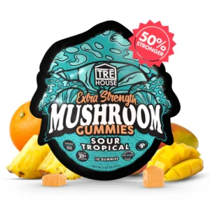 TRĒ House Magic Mushroom Gummies, Magic Mushroom Gummies, Mushroom Gummies Edible, Legal Mushroom Gummies, Neurotonin Gummies, Extra-Strength Mushroom Gummies, Mushroom Gummies Microdose, Mushroom Gummies Full Dose, Euphoric Mushroom Gummies, Premium Mushroom Gummies, Trippy Mushroom Gummies, Nootropic Mushroom Gummies, Adaptogenic Mushroom Gummies, Vegan Mushroom Gummies, Mushroom Gummies Effects, Mushroom Gummies Flavor, Fruity Mushroom Gummies, Psychedelic Mushroom Gummies, Relaxation Mushroom Gummies, Body Buzz Mushroom Gummies, Mental Clarity Mushroom Gummies, Mind-Enhancing Mushroom Gummies, Smooth Mushroom Gummies, Mushroom Gummies Online, Buy Mushroom Gummies, Mushroom Gummies for Beginners, Mushroom Gummies Dosage, Mushroom Gummies Experience, Mushroom Gummies Taste, TRĒ House Edible Gummies, Mushroom Gummies Safe, Mushroom Gummies Lab-Tested, Mushroom Gummies COA, Mushroom Gummies Packaging, Mushroom Gummies Square Dose, Mushroom Gummies Microdosing Edible, Mushroom Gummies Full Trip, Mushroom Gummies Brand TRĒ House, Mushroom Gummies Premium Edible, Mushroom Gummies High Quality, Mushroom Gummies Popular Product, Mushroom Gummies Trending, Mushroom Gummies Smooth Effects, Mushroom Gummies Rich Flavor, Mushroom Gummies Customer Favorite, Mushroom Gummies Mind Trip, Mushroom Gummies Psychedelic Flavor, Mushroom Gummies Tasty, Mushroom Gummies Easy to Consume, Mushroom Gummies Daily Dose, Mushroom Gummies Effects Guide, Mushroom Gummies Lab Certified, Mushroom Gummies Clear Mind, Mushroom Gummies Euphoria, Mushroom Gummies Tasty Experience, Mushroom Gummies Safe Dosage, Mushroom Gummies Vegan Product, Mushroom Gummies Fun Edible, Mushroom Gummies Legal Alternative, Mushroom Gummies Brain Clarity, Mushroom Gummies Flavor Blast, Mushroom Gummies Sweet Taste, Mushroom Gummies Concentrate, Mushroom Gummies Fruit Flavor, Mushroom Gummies Active Compounds, Mushroom Gummies Proprietary Blend, Mushroom Gummies Adaptogen, Mushroom Gummies Neurotonin, Blue Raspberry Magic Mushroom Gummies, Juicy Mango Magic Mushroom Gummies, Sour Apple Magic Mushroom Gummies, Sour Cherry Magic Mushroom Gummies, Sour Grape Magic Mushroom Gummies, Sour Tropical Magic Mushroom Gummies, Strawberry Dream Magic Mushroom Gummies, Watermelon Wonder Magic Mushroom Gummies, Watermelon Wonder mushroom gummies, TRĒ House mushroom gummies, magic mushroom gummies, mushroom gummies edible, legal mushroom gummies, Neurotonin gummies, extra-strength mushroom gummies, mushroom gummies microdose, mushroom gummies full dose, euphoric mushroom gummies, premium mushroom gummies, trippy mushroom gummies, nootropic mushroom gummies, adaptogenic mushroom gummies, vegan mushroom gummies, mushroom gummies effects, mushroom gummies flavor, watermelon mushroom gummies, psychedelic mushroom gummies, relaxation mushroom gummies, body buzz mushroom gummies, mental clarity mushroom gummies, mind-enhancing mushroom gummies, smooth mushroom gummies, mushroom gummies online, buy mushroom gummies, mushroom gummies for beginners, mushroom gummies dosage, mushroom gummies experience, mushroom gummies taste, TRĒ House edible gummies, mushroom gummies safe, mushroom gummies lab-tested, mushroom gummies COA, mushroom gummies packaging, mushroom gummies square dose, mushroom gummies microdosing edible, mushroom gummies full trip, mushroom gummies brand TRĒ House, mushroom gummies premium edible, mushroom gummies high quality, mushroom gummies popular product, mushroom gummies trending, mushroom gummies smooth effects, mushroom gummies rich flavor, mushroom gummies customer favorite, mushroom gummies mind trip, mushroom gummies psychedelic flavor, mushroom gummies tasty, mushroom gummies easy to consume, mushroom gummies daily dose, mushroom gummies effects guide, mushroom gummies lab certified, mushroom gummies clear mind, mushroom gummies euphoria, mushroom gummies tasty experience, mushroom gummies safe dosage, mushroom gummies vegan product, mushroom gummies fun edible, mushroom gummies legal alternative, mushroom gummies brain clarity, mushroom gummies flavor blast, mushroom gummies sweet taste, mushroom gummies concentrate, mushroom gummies fruit flavor, mushroom gummies active compounds, mushroom gummies proprietary blend, mushroom gummies adaptogen, mushroom gummies Neurotonin, Strawberry Dream mushroom gummies, TRĒ House mushroom gummies, magic mushroom gummies, mushroom gummies edible, legal mushroom gummies, Neurotonin gummies, extra-strength mushroom gummies, mushroom gummies microdose, mushroom gummies full dose, euphoric mushroom gummies, premium mushroom gummies, trippy mushroom gummies, nootropic mushroom gummies, adaptogenic mushroom gummies, vegan mushroom gummies, mushroom gummies effects, mushroom gummies flavor, strawberry mushroom gummies, psychedelic mushroom gummies, relaxation mushroom gummies, body buzz mushroom gummies, mental clarity mushroom gummies, mind-enhancing mushroom gummies, smooth mushroom gummies, mushroom gummies online, buy mushroom gummies, mushroom gummies for beginners, mushroom gummies dosage, mushroom gummies experience, mushroom gummies taste, TRĒ House edible gummies, mushroom gummies safe, mushroom gummies lab-tested, mushroom gummies COA, mushroom gummies packaging, mushroom gummies square dose, mushroom gummies microdosing edible, mushroom gummies full trip, mushroom gummies brand TRĒ House, mushroom gummies premium edible, mushroom gummies high quality, mushroom gummies popular product, mushroom gummies trending, mushroom gummies smooth effects, mushroom gummies rich flavor, mushroom gummies customer favorite, mushroom gummies mind trip, mushroom gummies psychedelic flavor, mushroom gummies tasty, mushroom gummies easy to consume, mushroom gummies daily dose, mushroom gummies effects guide, mushroom gummies lab certified, mushroom gummies clear mind, mushroom gummies euphoria, mushroom gummies tasty experience, mushroom gummies safe dosage, mushroom gummies vegan product, mushroom gummies fun edible, mushroom gummies legal alternative, mushroom gummies brain clarity, mushroom gummies flavor blast, mushroom gummies sweet taste, mushroom gummies concentrate, mushroom gummies fruit flavor, mushroom gummies active compounds, mushroom gummies proprietary blend, mushroom gummies adaptogen, mushroom gummies Neurotonin, Sour Tropical mushroom gummies, TRĒ House mushroom gummies, magic mushroom gummies, mushroom gummies edible, legal mushroom gummies, Neurotonin gummies, extra-strength mushroom gummies, mushroom gummies microdose, mushroom gummies full dose, euphoric mushroom gummies, premium mushroom gummies, trippy mushroom gummies, nootropic mushroom gummies, adaptogenic mushroom gummies, vegan mushroom gummies, mushroom gummies effects, mushroom gummies flavor, tropical mushroom gummies, psychedelic mushroom gummies, relaxation mushroom gummies, body buzz mushroom gummies, mental clarity mushroom gummies, mind-enhancing mushroom gummies, smooth mushroom gummies, mushroom gummies online, buy mushroom gummies, mushroom gummies for beginners, mushroom gummies dosage, mushroom gummies experience, mushroom gummies taste, TRĒ House edible gummies, mushroom gummies safe, mushroom gummies lab-tested, mushroom gummies COA, mushroom gummies packaging, mushroom gummies square dose, mushroom gummies microdosing edible, mushroom gummies full trip, mushroom gummies brand TRĒ House, mushroom gummies premium edible, mushroom gummies high quality, mushroom gummies popular product, mushroom gummies trending, mushroom gummies smooth effects, mushroom gummies rich flavor, mushroom gummies customer favorite, mushroom gummies mind trip, mushroom gummies psychedelic flavor, mushroom gummies tasty, mushroom gummies easy to consume, mushroom gummies daily dose, mushroom gummies effects guide, mushroom gummies lab certified, mushroom gummies clear mind, mushroom gummies euphoria, mushroom gummies tasty experience, mushroom gummies safe dosage, mushroom gummies vegan product, mushroom gummies fun edible, mushroom gummies legal alternative, mushroom gummies brain clarity, mushroom gummies flavor blast, mushroom gummies sweet taste, mushroom gummies concentrate, mushroom gummies fruit flavor, mushroom gummies active compounds, mushroom gummies proprietary blend, mushroom gummies adaptogen, mushroom gummies Neurotonin, Sour Grape mushroom gummies, TRĒ House mushroom gummies, magic mushroom gummies, mushroom gummies edible, legal mushroom gummies, Neurotonin gummies, extra-strength mushroom gummies, mushroom gummies microdose, mushroom gummies full dose, euphoric mushroom gummies, premium mushroom gummies, trippy mushroom gummies, nootropic mushroom gummies, adaptogenic mushroom gummies, vegan mushroom gummies, mushroom gummies effects, mushroom gummies flavor, grape mushroom gummies, psychedelic mushroom gummies, relaxation mushroom gummies, body buzz mushroom gummies, mental clarity mushroom gummies, mind-enhancing mushroom gummies, smooth mushroom gummies, mushroom gummies online, buy mushroom gummies, mushroom gummies for beginners, mushroom gummies dosage, mushroom gummies experience, mushroom gummies taste, TRĒ House edible gummies, mushroom gummies safe, mushroom gummies lab-tested, mushroom gummies COA, mushroom gummies packaging, mushroom gummies square dose, mushroom gummies microdosing edible, mushroom gummies full trip, mushroom gummies brand TRĒ House, mushroom gummies premium edible, mushroom gummies high quality, mushroom gummies popular product, mushroom gummies trending, mushroom gummies smooth effects, mushroom gummies rich flavor, mushroom gummies customer favorite, mushroom gummies mind trip, mushroom gummies psychedelic flavor, mushroom gummies tasty, mushroom gummies easy to consume, mushroom gummies daily dose, mushroom gummies effects guide, mushroom gummies lab certified, mushroom gummies clear mind, mushroom gummies euphoria, mushroom gummies tasty experience, mushroom gummies safe dosage, mushroom gummies vegan product, mushroom gummies fun edible, mushroom gummies legal alternative, mushroom gummies brain clarity, mushroom gummies flavor blast, mushroom gummies sweet taste, mushroom gummies concentrate, mushroom gummies fruit flavor, mushroom gummies active compounds, mushroom gummies proprietary blend, mushroom gummies adaptogen, mushroom gummies Neurotonin, Sour Cherry mushroom gummies, TRĒ House mushroom gummies, magic mushroom gummies, mushroom gummies edible, legal mushroom gummies, Neurotonin gummies, extra-strength mushroom gummies, mushroom gummies microdose, mushroom gummies full dose, euphoric mushroom gummies, premium mushroom gummies, trippy mushroom gummies, nootropic mushroom gummies, adaptogenic mushroom gummies, vegan mushroom gummies, mushroom gummies effects, mushroom gummies flavor, cherry mushroom gummies, psychedelic mushroom gummies, relaxation mushroom gummies, body buzz mushroom gummies, mental clarity mushroom gummies, mind-enhancing mushroom gummies, smooth mushroom gummies, mushroom gummies online, buy mushroom gummies, mushroom gummies for beginners, mushroom gummies dosage, mushroom gummies experience, mushroom gummies taste, TRĒ House edible gummies, mushroom gummies safe, mushroom gummies lab-tested, mushroom gummies COA, mushroom gummies packaging, mushroom gummies square dose, mushroom gummies microdosing edible, mushroom gummies full trip, mushroom gummies brand TRĒ House, mushroom gummies premium edible, mushroom gummies high quality, mushroom gummies popular product, mushroom gummies trending, mushroom gummies smooth effects, mushroom gummies rich flavor, mushroom gummies customer favorite, mushroom gummies mind trip, mushroom gummies psychedelic flavor, mushroom gummies tasty, mushroom gummies easy to consume, mushroom gummies daily dose, mushroom gummies effects guide, mushroom gummies lab certified, mushroom gummies clear mind, mushroom gummies euphoria, mushroom gummies tasty experience, mushroom gummies safe dosage, mushroom gummies vegan product, mushroom gummies fun edible, mushroom gummies legal alternative, mushroom gummies brain clarity, mushroom gummies flavor blast, mushroom gummies sweet taste, mushroom gummies concentrate, mushroom gummies fruit flavor, mushroom gummies active compounds, mushroom gummies proprietary blend, mushroom gummies adaptogen, mushroom gummies Neurotonin, Sour Apple mushroom gummies, TRĒ House mushroom gummies, magic mushroom gummies, mushroom gummies edible, legal mushroom gummies, Neurotonin gummies, extra-strength mushroom gummies, mushroom gummies microdose, mushroom gummies full dose, euphoric mushroom gummies, premium mushroom gummies, trippy mushroom gummies, nootropic mushroom gummies, adaptogenic mushroom gummies, vegan mushroom gummies, mushroom gummies effects, mushroom gummies flavor, sour apple mushroom gummies, psychedelic mushroom gummies, relaxation mushroom gummies, body buzz mushroom gummies, mental clarity mushroom gummies, mind-enhancing mushroom gummies, smooth mushroom gummies, mushroom gummies online, buy mushroom gummies, mushroom gummies for beginners, mushroom gummies dosage, mushroom gummies experience, mushroom gummies taste, TRĒ House edible gummies, mushroom gummies safe, mushroom gummies lab-tested, mushroom gummies COA, mushroom gummies packaging, mushroom gummies square dose, mushroom gummies microdosing edible, mushroom gummies full trip, mushroom gummies brand TRĒ House, mushroom gummies premium edible, mushroom gummies high quality, mushroom gummies popular product, mushroom gummies trending, mushroom gummies smooth effects, mushroom gummies rich flavor, mushroom gummies customer favorite, mushroom gummies mind trip, mushroom gummies psychedelic flavor, mushroom gummies tasty, mushroom gummies easy to consume, mushroom gummies daily dose, mushroom gummies effects guide, mushroom gummies lab certified, mushroom gummies clear mind, mushroom gummies euphoria, mushroom gummies tasty experience, mushroom gummies safe dosage, mushroom gummies vegan product, mushroom gummies fun edible, mushroom gummies legal alternative, mushroom gummies brain clarity, mushroom gummies flavor blast, mushroom gummies sweet taste, mushroom gummies concentrate, mushroom gummies fruit flavor, mushroom gummies active compounds, mushroom gummies proprietary blend, mushroom gummies adaptogen, mushroom gummies Neurotonin, Juicy Mango mushroom gummies, TRĒ House mushroom gummies, magic mushroom gummies, mushroom gummies edible, legal mushroom gummies, Neurotonin gummies, extra-strength mushroom gummies, mushroom gummies microdose, mushroom gummies full dose, euphoric mushroom gummies, premium mushroom gummies, trippy mushroom gummies, nootropic mushroom gummies, adaptogenic mushroom gummies, vegan mushroom gummies, mushroom gummies effects, mushroom gummies flavor, mango mushroom gummies, psychedelic mushroom gummies, relaxation mushroom gummies, body buzz mushroom gummies, mental clarity mushroom gummies, mind-enhancing mushroom gummies, smooth mushroom gummies, mushroom gummies online, buy mushroom gummies, mushroom gummies for beginners, mushroom gummies dosage, mushroom gummies experience, mushroom gummies taste, TRĒ House edible gummies, mushroom gummies safe, mushroom gummies lab-tested, mushroom gummies COA, mushroom gummies packaging, mushroom gummies square dose, mushroom gummies microdosing edible, mushroom gummies full trip, mushroom gummies brand TRĒ House, mushroom gummies premium edible, mushroom gummies high quality, mushroom gummies popular product, mushroom gummies trending, mushroom gummies smooth effects, mushroom gummies rich flavor, mushroom gummies customer favorite, mushroom gummies mind trip, mushroom gummies psychedelic flavor, mushroom gummies tasty, mushroom gummies easy to consume, mushroom gummies daily dose, mushroom gummies effects guide, mushroom gummies lab certified, mushroom gummies clear mind, mushroom gummies euphoria, mushroom gummies tasty experience, mushroom gummies safe dosage, mushroom gummies vegan product, mushroom gummies fun edible, mushroom gummies legal alternative, mushroom gummies brain clarity, mushroom gummies flavor blast, mushroom gummies sweet taste, mushroom gummies concentrate, mushroom gummies fruit flavor, mushroom gummies active compounds, mushroom gummies proprietary blend, mushroom gummies adaptogen, mushroom gummies Neurotonin, Blue Raspberry mushroom gummies, TRĒ House mushroom gummies, magic mushroom gummies, mushroom gummies edible, legal mushroom gummies, Neurotonin gummies, extra-strength mushroom gummies, mushroom gummies microdose, mushroom gummies full dose, euphoric mushroom gummies, premium mushroom gummies, trippy mushroom gummies, nootropic mushroom gummies, adaptogenic mushroom gummies, vegan mushroom gummies, mushroom gummies effects, mushroom gummies flavor, berry mushroom gummies, psychedelic mushroom gummies, relaxation mushroom gummies, body buzz mushroom gummies, mental clarity mushroom gummies, mind-enhancing mushroom gummies, smooth mushroom gummies, mushroom gummies online, buy mushroom gummies, mushroom gummies for beginners, mushroom gummies dosage, mushroom gummies experience, mushroom gummies taste, TRĒ House edible gummies, mushroom gummies safe, mushroom gummies lab-tested, mushroom gummies COA, mushroom gummies packaging, mushroom gummies square dose, mushroom gummies microdosing edible, mushroom gummies full trip, mushroom gummies brand TRĒ House, mushroom gummies premium edible, mushroom gummies high quality, mushroom gummies popular product, mushroom gummies trending, mushroom gummies smooth effects, mushroom gummies rich flavor, mushroom gummies customer favorite, mushroom gummies mind trip, mushroom gummies psychedelic flavor, mushroom gummies tasty, mushroom gummies easy to consume, mushroom gummies daily dose, mushroom gummies effects guide, mushroom gummies lab certified, mushroom gummies clear mind, mushroom gummies euphoria, mushroom gummies tasty experience, mushroom gummies safe dosage, mushroom gummies vegan product, mushroom gummies fun edible, mushroom gummies legal alternative, mushroom gummies brain clarity, mushroom gummies flavor blast, mushroom gummies sweet taste, mushroom gummies concentrate, mushroom gummies fruit flavor, mushroom gummies active compounds, mushroom gummies proprietary blend, mushroom gummies adaptogen, mushroom gummies Neurotonin, Blue Raspberry mushroom gummies, TRĒ House mushroom gummies, magic mushroom gummies, mushroom gummies edible, legal mushroom gummies, Neurotonin gummies, extra-strength mushroom gummies, mushroom gummies microdose, mushroom gummies full dose, euphoric mushroom gummies, premium mushroom gummies, trippy mushroom gummies, nootropic mushroom gummies, adaptogenic mushroom gummies, vegan mushroom gummies, mushroom gummies effects, mushroom gummies flavor, berry mushroom gummies, psychedelic mushroom gummies, relaxation mushroom gummies, body buzz mushroom gummies, mental clarity mushroom gummies, mind-enhancing mushroom gummies, smooth mushroom gummies, mushroom gummies online, buy mushroom gummies, mushroom gummies for beginners, mushroom gummies dosage, mushroom gummies experience, mushroom gummies taste, TRĒ House edible gummies, mushroom gummies safe, mushroom gummies lab-tested, mushroom gummies COA, mushroom gummies packaging, mushroom gummies square dose, mushroom gummies microdosing edible, mushroom gummies full trip, mushroom gummies brand TRĒ House, mushroom gummies premium edible, mushroom gummies high quality, mushroom gummies popular product, mushroom gummies trending, mushroom gummies smooth effects, mushroom gummies rich flavor, mushroom gummies customer favorite, mushroom gummies mind trip, mushroom gummies psychedelic flavor, mushroom gummies tasty, mushroom gummies easy to consume, mushroom gummies daily dose, mushroom gummies effects guide, mushroom gummies lab certified, mushroom gummies clear mind, mushroom gummies euphoria, mushroom gummies tasty experience, mushroom gummies safe dosage, mushroom gummies vegan product, mushroom gummies fun edible, mushroom gummies legal alternative, mushroom gummies brain clarity, mushroom gummies flavor blast, mushroom gummies for relaxation, mushroom gummies enhanced formula, mushroom gummies lifestyle edible, mushroom gummies berry flavor, mushroom gummies sweet taste, mushroom gummies concentrate, mushroom gummies fruit flavor, mushroom gummies active compounds, mushroom gummies proprietary blend, mushroom gummies adaptogen, mushroom gummies Neurotonin,