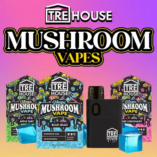 TRĒ House Blue Jello Mushroom Vape Pen, magic mushroom vape pen, mushroom microdose vape, adaptogen mushroom vape, nootropic mushroom vape, psychedelic vape, psychotropic mushroom pen, fast-acting mushroom vape, euphoria mushroom vape, head buzz mushroom vape, cerebral mushroom vape, mind-melting mushroom vape, portable mushroom vape, disposable mushroom vape, mushroom vape juice, microdose mushroom vape, mushroom vape effects, mushroom vape dosage, mushroom vape for beginners, mushroom vape guide, mushroom vape instructions, mushroom vape safety, mushroom vape fruity flavor, mushroom vape blue raspberry, TRĒ House vape pen, legal mushroom vape, mushroom vape shop, mushroom vape online, mushroom vape products, mushroom vape collection, mushroom vape microdosing, mushroom vape potent, mushroom vape smooth, mushroom vape tasty, mushroom vape elated, mushroom vape elevated, mushroom vape fun, mushroom vape high, mushroom vape experience, mushroom vape mind trip, mushroom vape body buzz, mushroom vape head high, mushroom vape mental clarity, mushroom vape discreet, mushroom vape compact, mushroom vape portable, mushroom vape for travel, mushroom vape first time, mushroom vape beginner-friendly, mushroom vape mixable, mushroom vape effects duration, mushroom vape natural ingredients, mushroom vape vegan, mushroom vape safe, mushroom vape recommended, mushroom vape psychotropic, mushroom vape flavor, mushroom vape juice blend, mushroom vape adaptogenic, mushroom vape nootropic, mushroom vape concentrate, mushroom vape euphoric, mushroom vape head sensations, mushroom vape mind experience, mushroom vape quality, mushroom vape potent dosage, mushroom vape premium, mushroom vape ready-to-use, mushroom vape fun effects, mushroom vape happy, mushroom vape blue-raspberry,