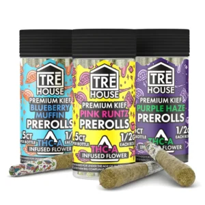 TRĒ House THCA Prerolls With Premium Kief, THCA prerolls, THCA infused prerolls, THCA hemp prerolls, THCA flower prerolls, premium kief prerolls, live resin terpenes prerolls, THC-A hemp prerolls, THC-A pre rolled joints, THCA joint, THCA ready-to-smoke, THCA hemp flower, Purple Haze THCA preroll, Pink Runtz THCA preroll, Blueberry Muffin THCA preroll, potent THCA prerolls, THCA head buzz, THCA body buzz, mildly trippy prerolls, euphoric prerolls, creative THCA prerolls, THCA relaxation, THCA mood elevation, adult THCA prerolls, legal THCA prerolls, THCA smoke experience, TRĒ House THCA products, TRĒ House prerolls, THCA prerolls online, THCA prerolls fast shipping, premium hemp THCA, THCA preroll flavor, THCA prerolls USA, THCA prerolls UK, THCA prerolls Europe, THCA prerolls review, THCA prerolls potency, THCA prerolls experience, THCA prerolls pack, THCA prerolls half gram, THCA kief coated, THCA terpene prerolls, THCA prerolls top shelf, smooth THCA smoke, THCA prerolls delivery, THCA prerolls adult use, THCA prerolls best, THCA prerolls strong effects, THCA prerolls premium quality, THCA prerolls cannabis alternative, THCA prerolls classic flavor, THCA prerolls potent, THCA prerolls psychoactive, THCA prerolls buy online, THCA prerolls fast delivery, THCA prerolls high potency, THCA prerolls strain specific, THCA prerolls indulgent, THCA prerolls flavor rich, THCA prerolls smooth inhale, THCA prerolls aromatic, THCA prerolls 21 plus, THCA prerolls cannabis enthusiasts,