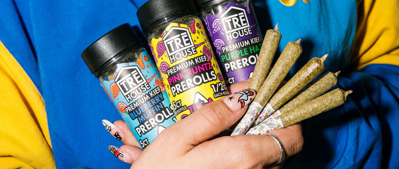 TRĒ House THCA Prerolls With Premium Kief, THCA prerolls, THCA infused prerolls, THCA hemp prerolls, THCA flower prerolls, premium kief prerolls, live resin terpenes prerolls, THC-A hemp prerolls, THC-A pre rolled joints, THCA joint, THCA ready-to-smoke, THCA hemp flower, Purple Haze THCA preroll, Pink Runtz THCA preroll, Blueberry Muffin THCA preroll, potent THCA prerolls, THCA head buzz, THCA body buzz, mildly trippy prerolls, euphoric prerolls, creative THCA prerolls, THCA relaxation, THCA mood elevation, adult THCA prerolls, legal THCA prerolls, THCA smoke experience, TRĒ House THCA products, TRĒ House prerolls, THCA prerolls online, THCA prerolls fast shipping, premium hemp THCA, THCA preroll flavor, THCA prerolls USA, THCA prerolls UK, THCA prerolls Europe, THCA prerolls review, THCA prerolls potency, THCA prerolls experience, THCA prerolls pack, THCA prerolls half gram, THCA kief coated, THCA terpene prerolls, THCA prerolls top shelf, smooth THCA smoke, THCA prerolls delivery, THCA prerolls adult use, THCA prerolls best, THCA prerolls strong effects, THCA prerolls premium quality, THCA prerolls cannabis alternative, THCA prerolls classic flavor, THCA prerolls potent, THCA prerolls psychoactive, THCA prerolls buy online, THCA prerolls fast delivery, THCA prerolls high potency, THCA prerolls strain specific, THCA prerolls indulgent, THCA prerolls flavor rich, THCA prerolls smooth inhale, THCA prerolls aromatic, THCA prerolls 21 plus, THCA prerolls cannabis enthusiasts,
